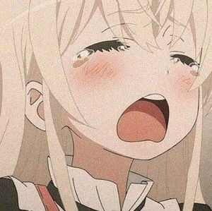 Meet your Posher, Shreks